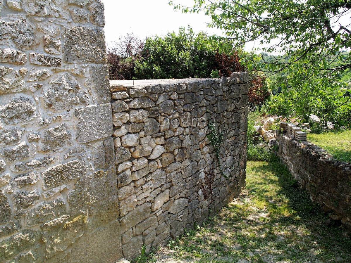 VIŽINADA