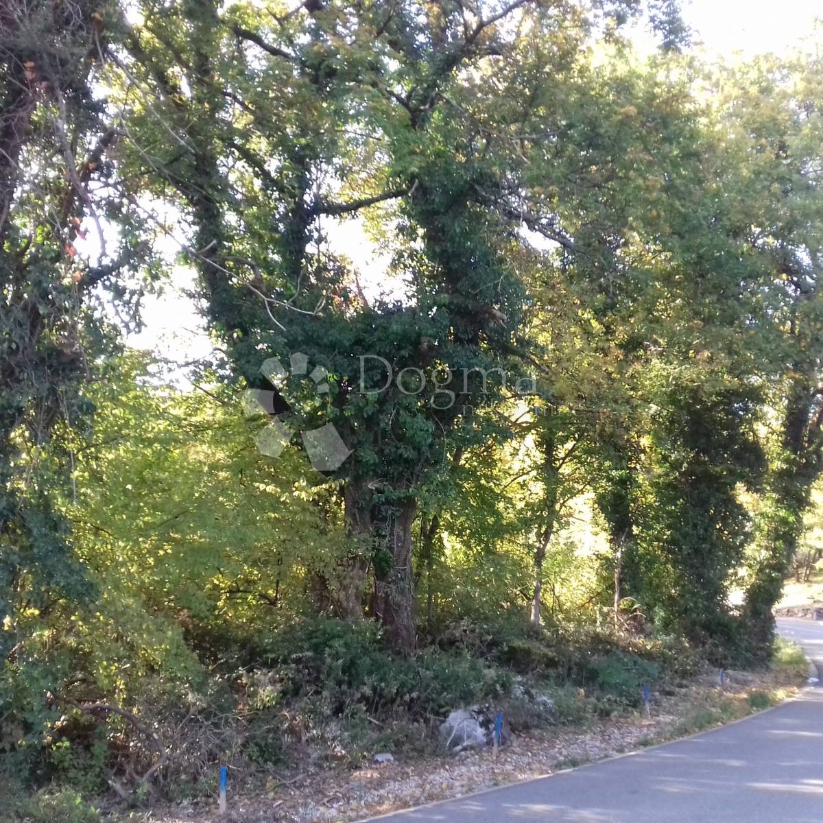 VEPRINAC