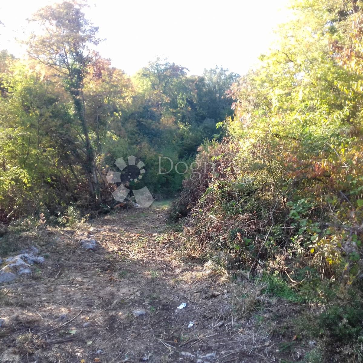 VEPRINAC