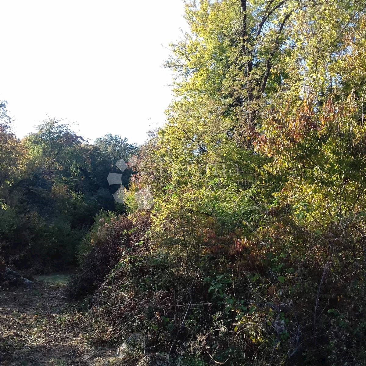 VEPRINAC