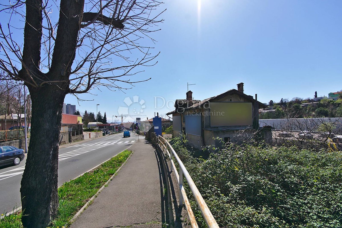 ŠKURINJE