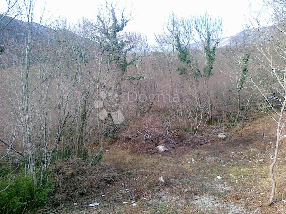 GRIŽANE