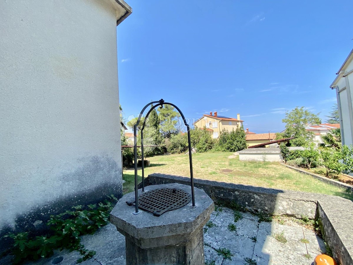 BOGOVIĆI