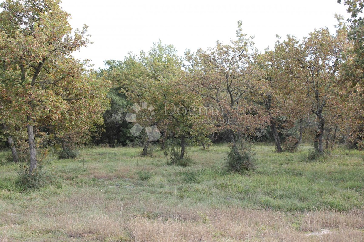 VODNJAN
