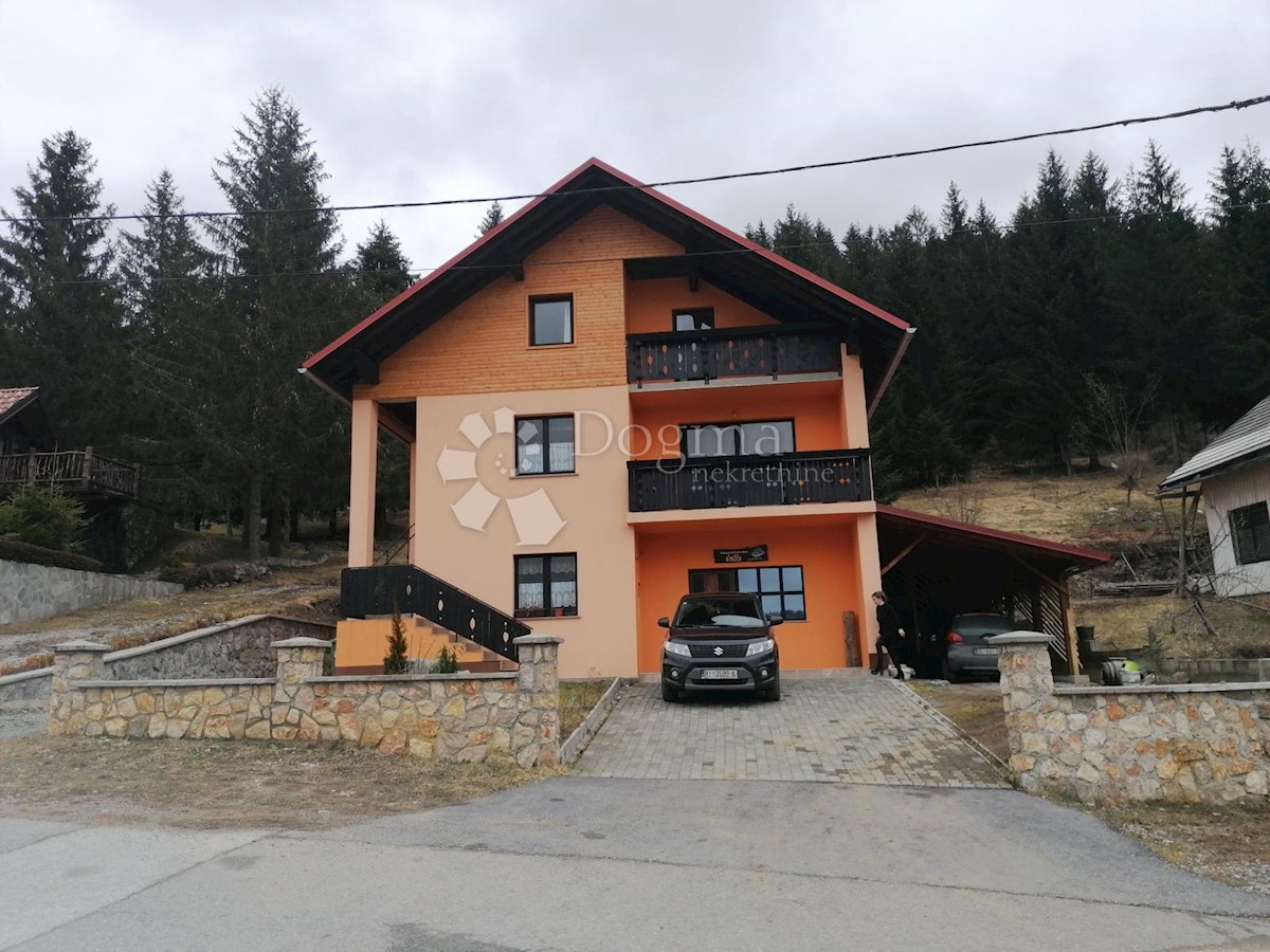 RAVNA GORA