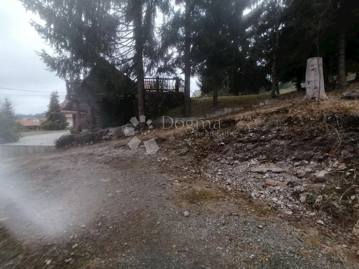 RAVNA GORA