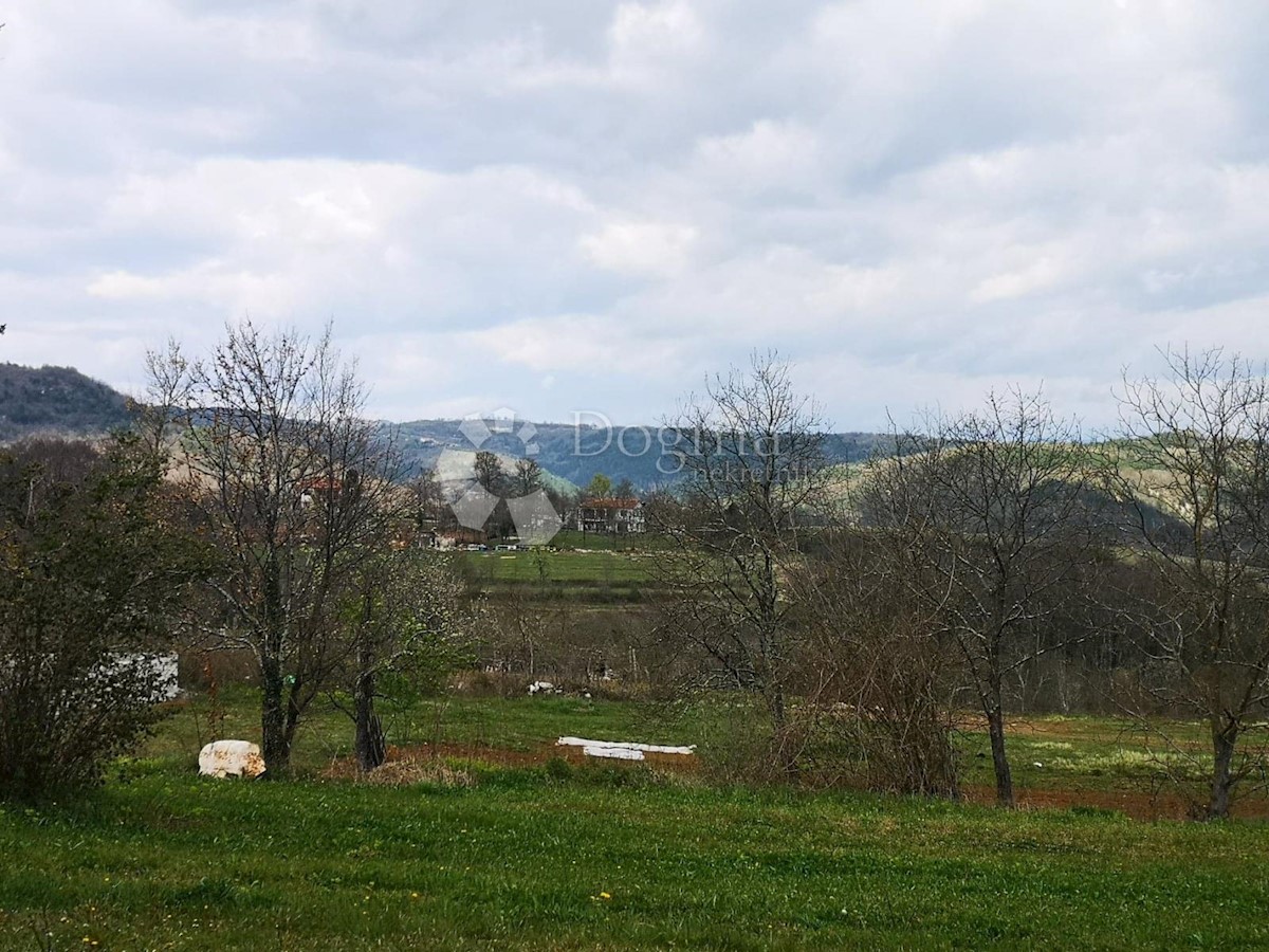 PIĆAN