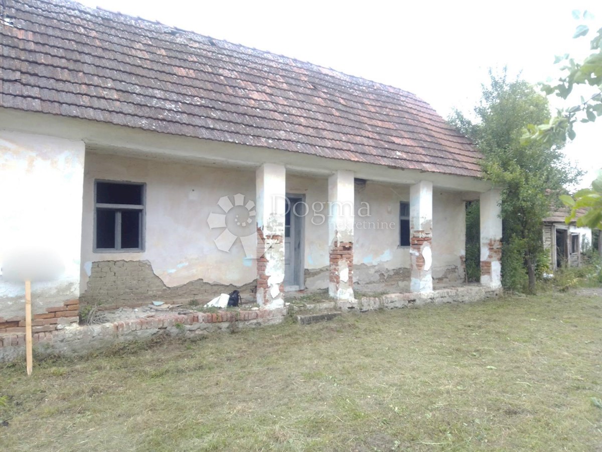 ORAHOVICA