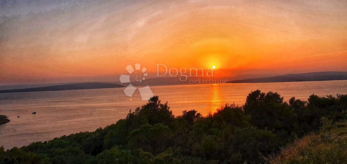 PUNAT