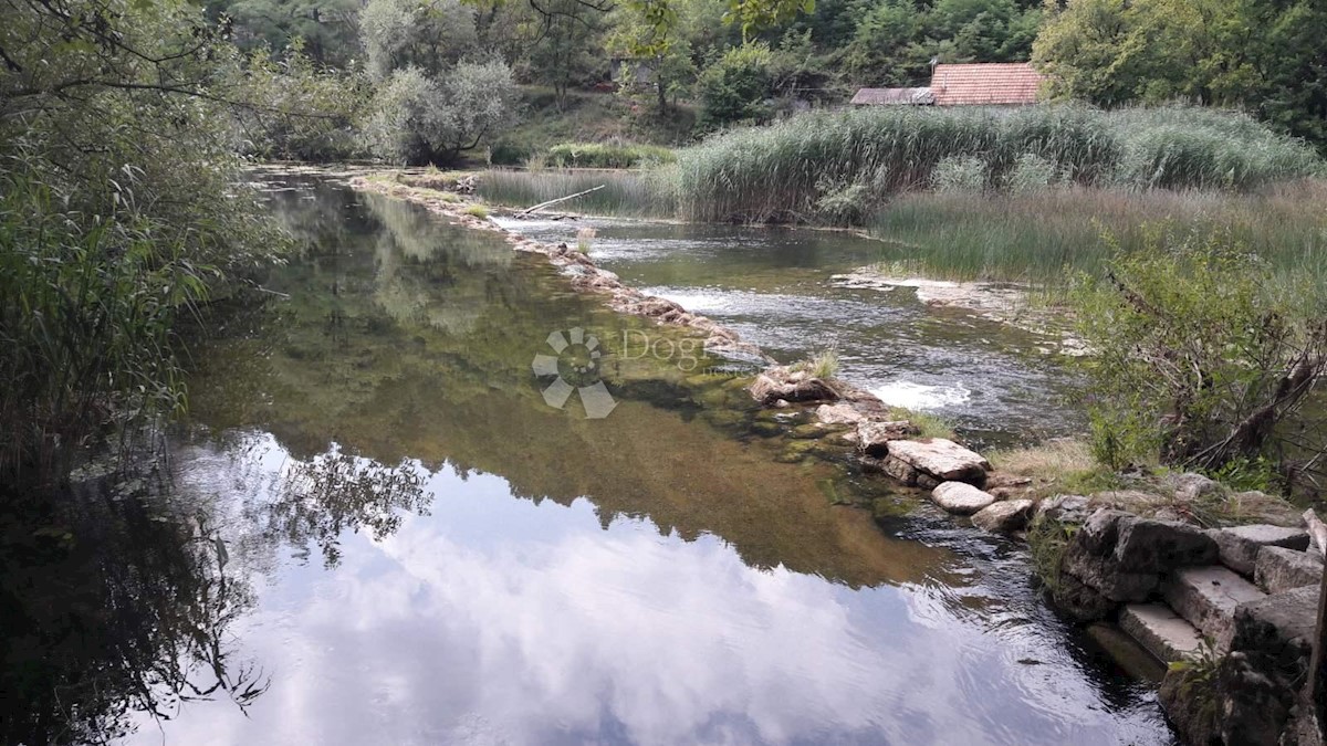 TOČAK