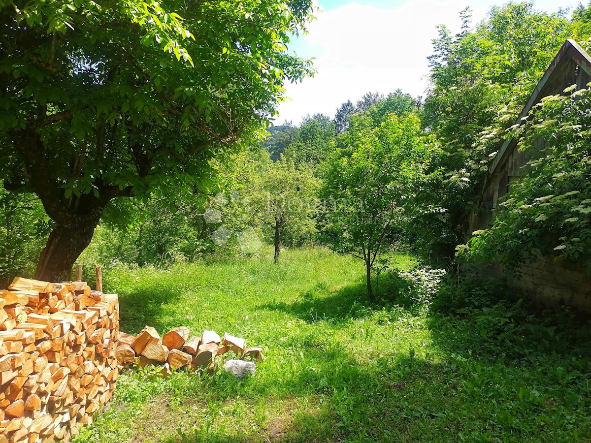 JABLAN