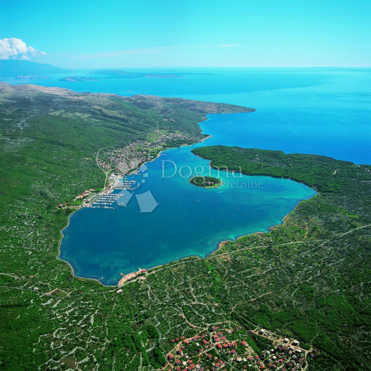 PUNAT