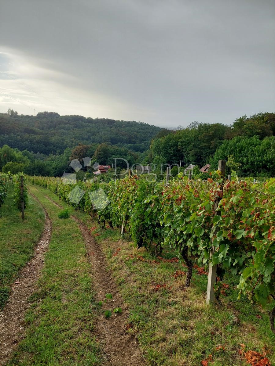 JAKOPOVEC