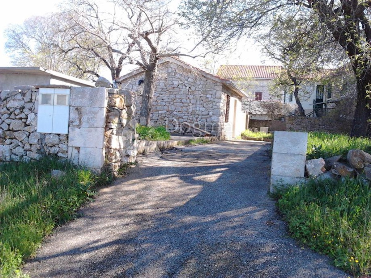 BOGOMOLJE