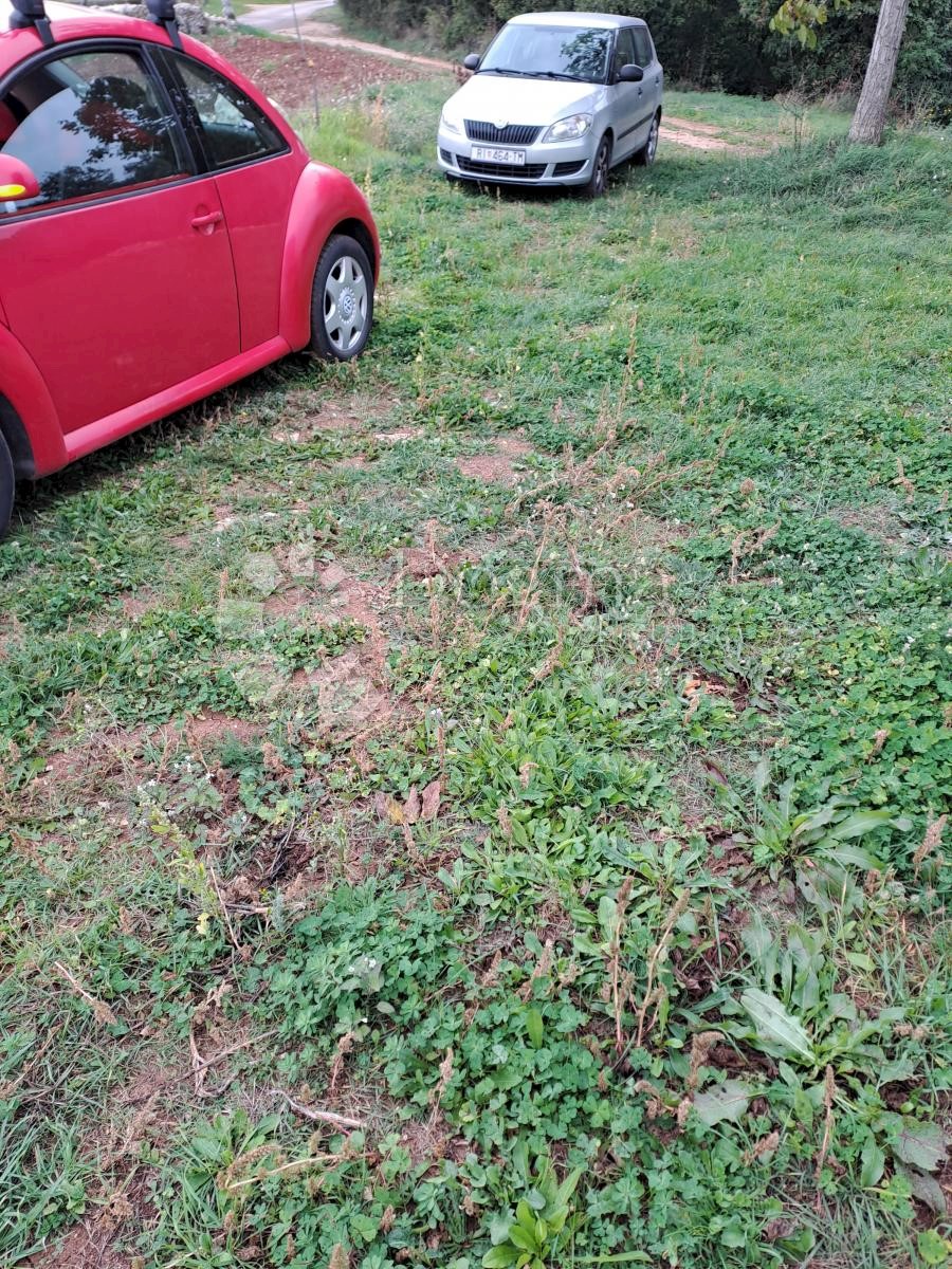 SVETI PETAR U ŠUMI