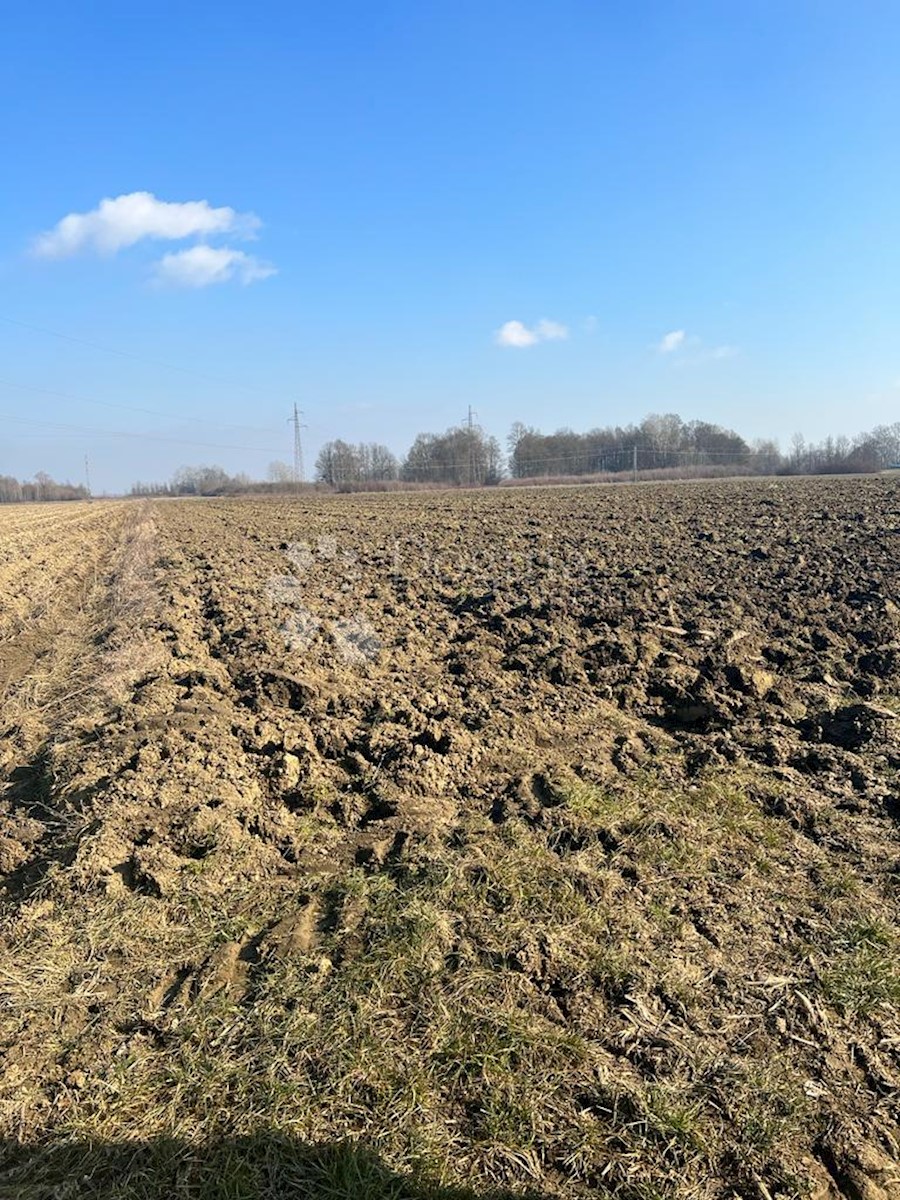 OBOROVO
