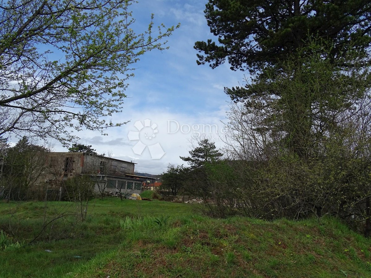 DRAŽICE