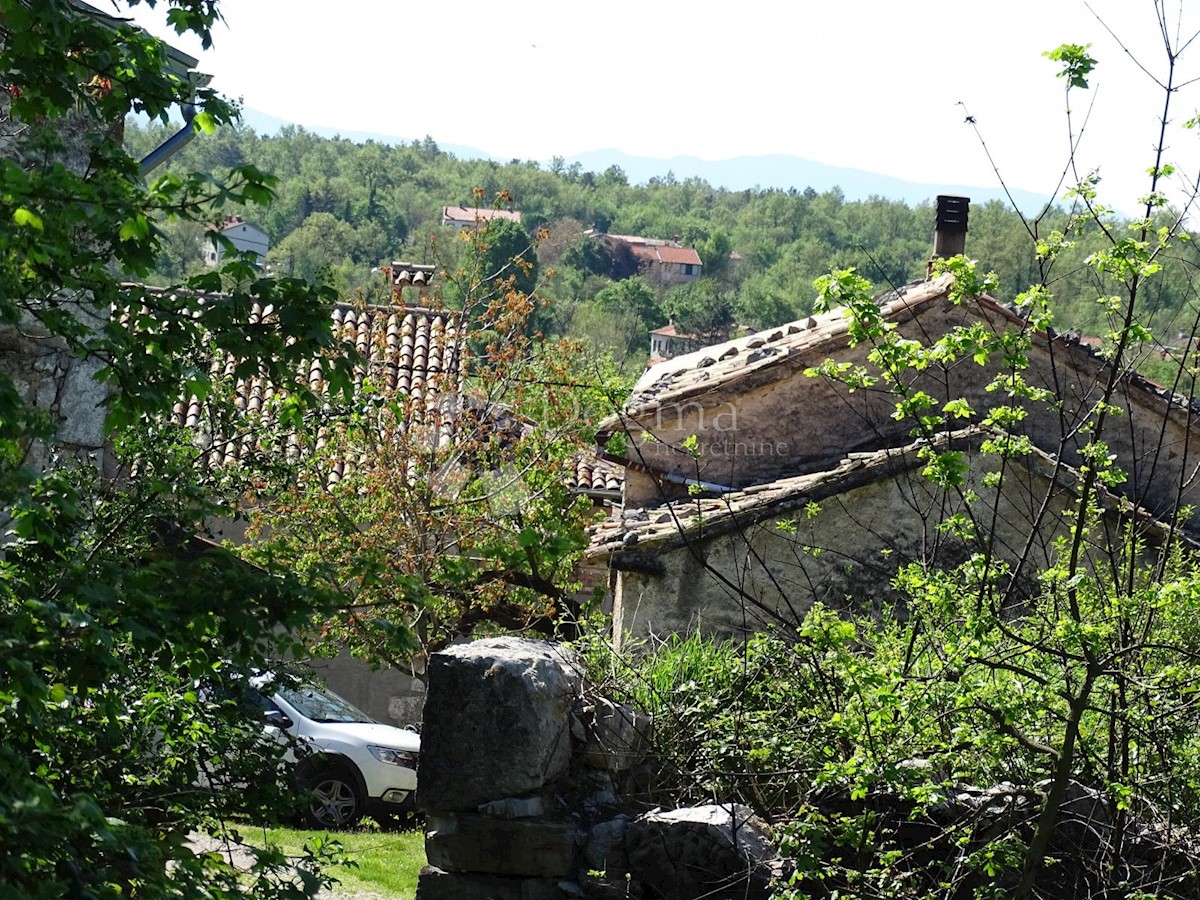 ROČKO POLJE