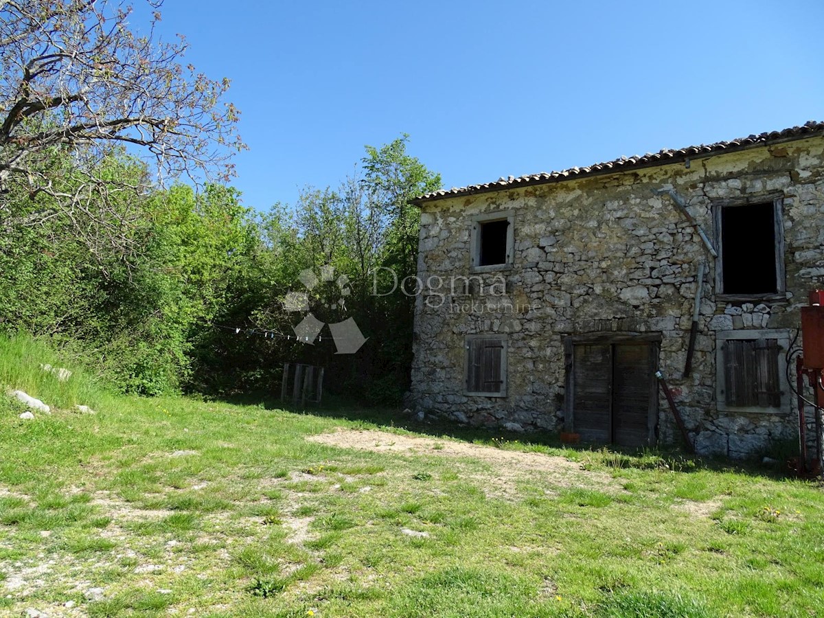 ROČKO POLJE