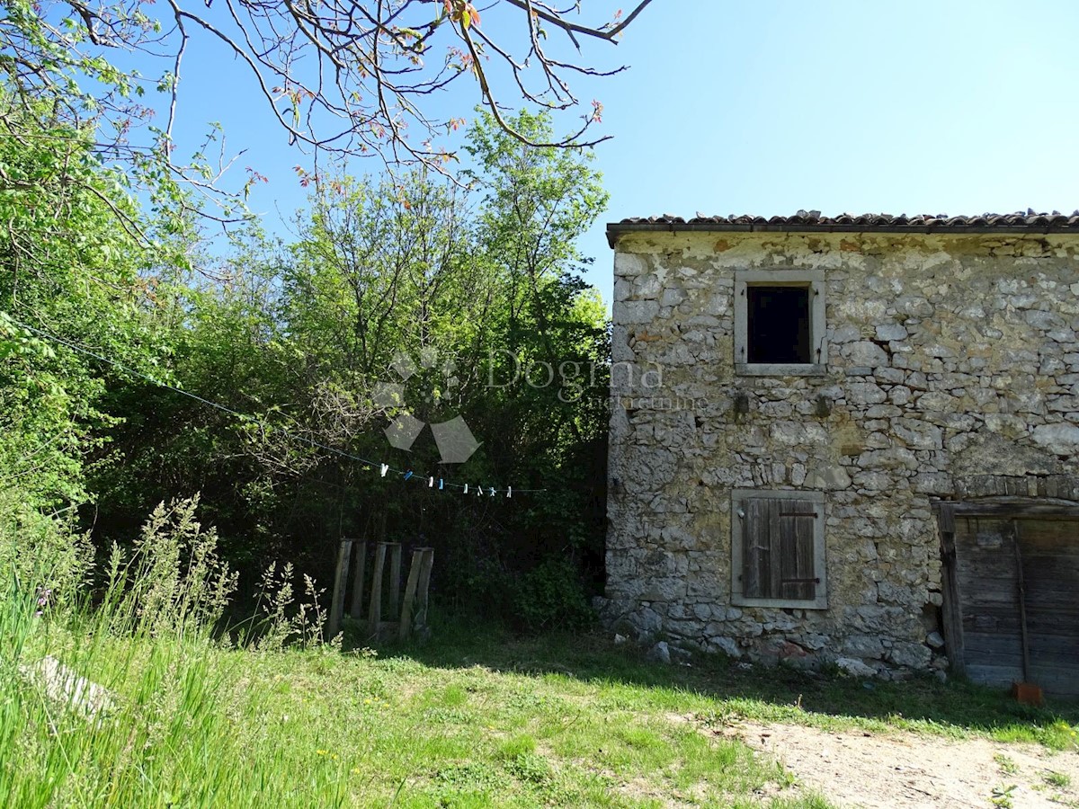 ROČKO POLJE