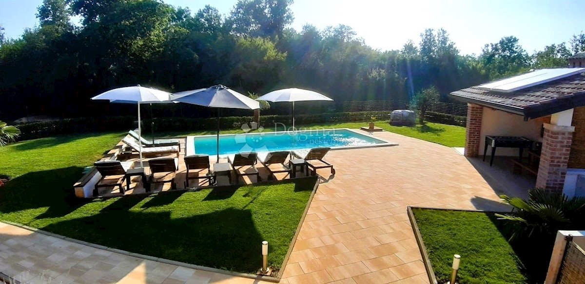 ŽIKOVIĆI