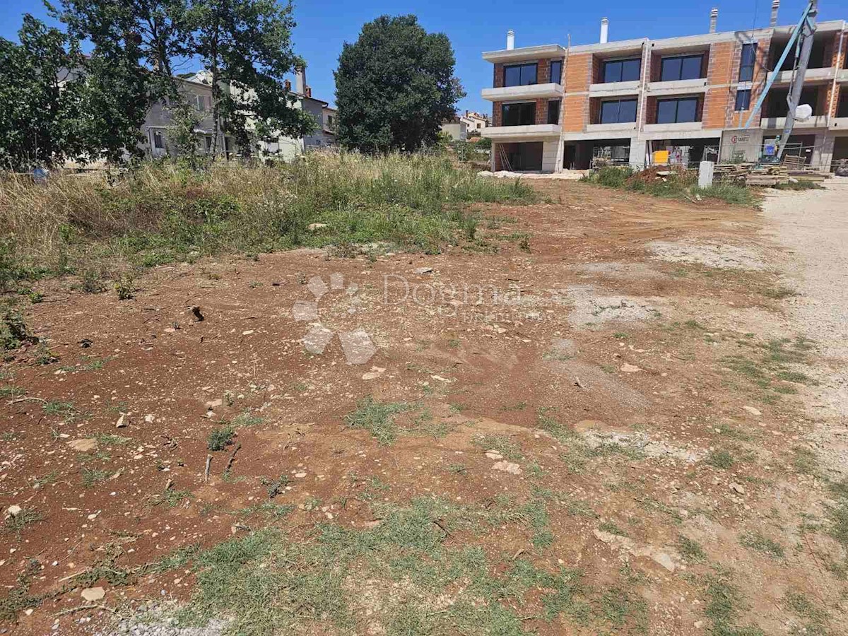 PULA