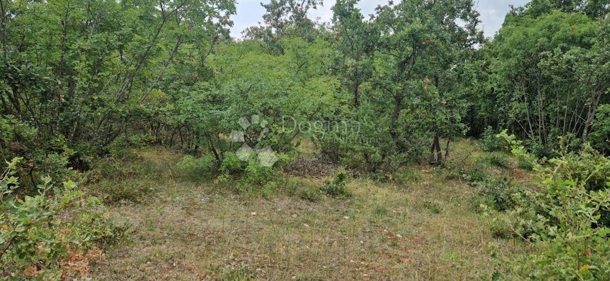 VODNJAN