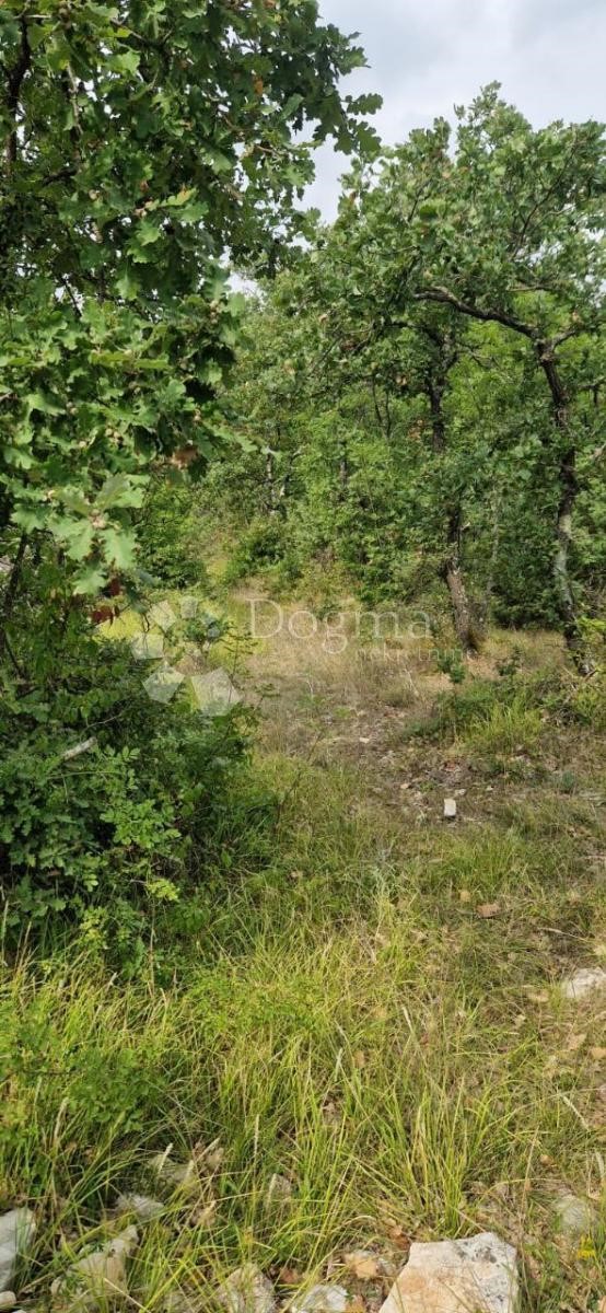 VODNJAN