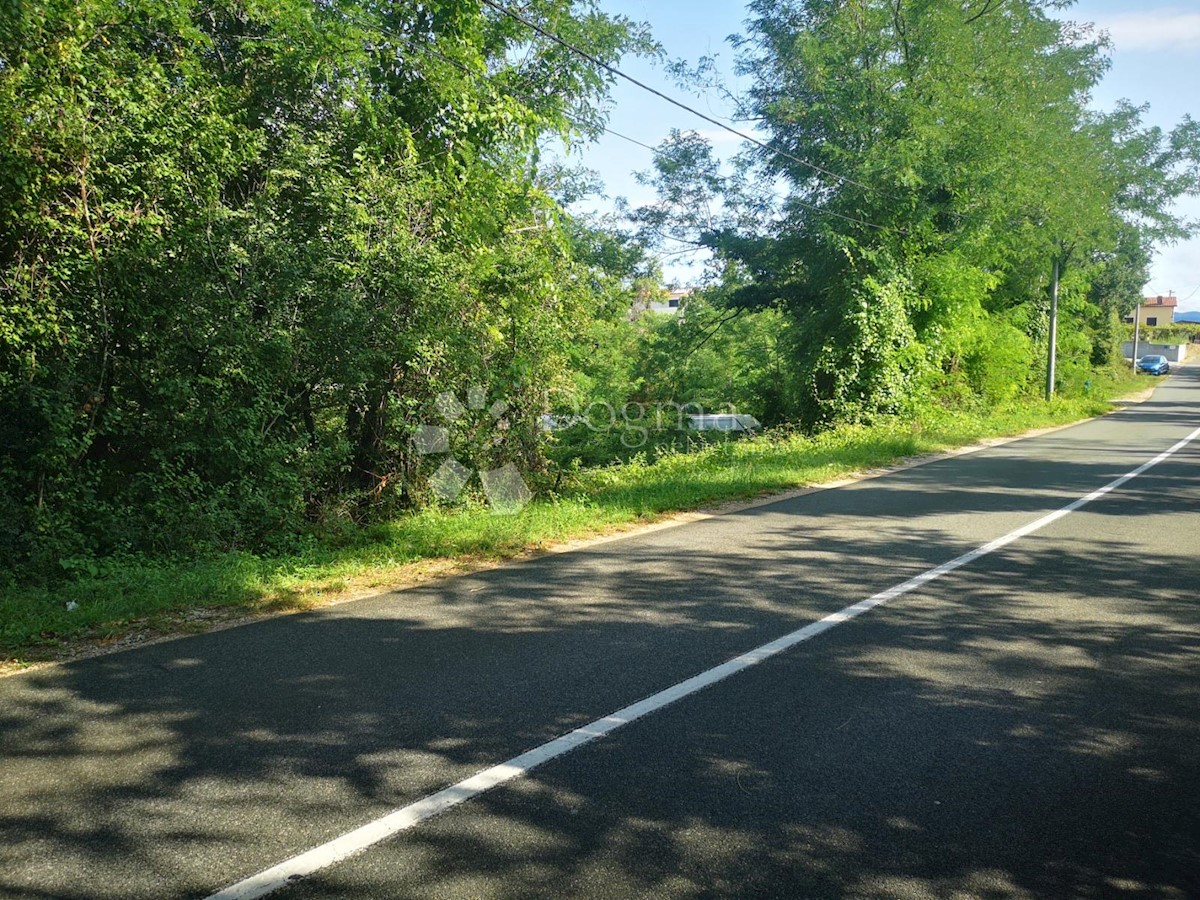 RISIKA
