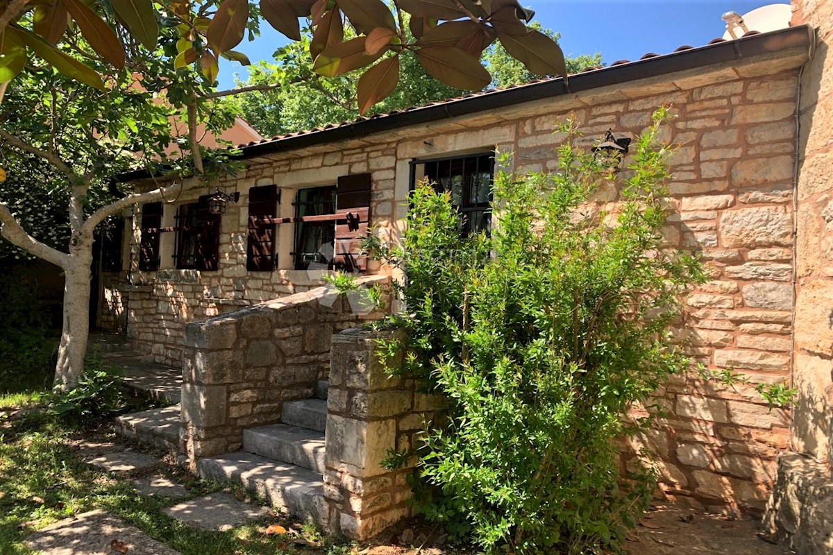 ŽMINJ