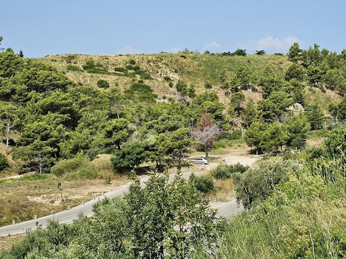 TUČEPI