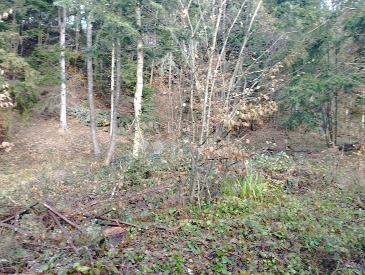 PILA