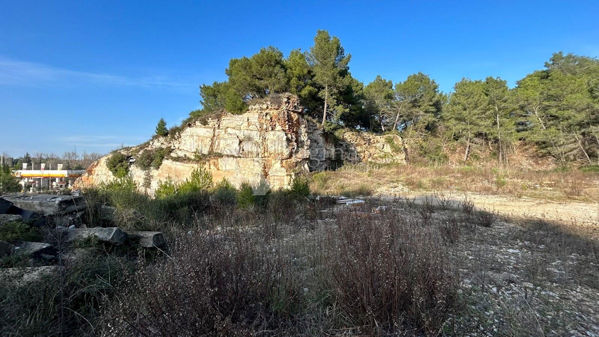 PULA