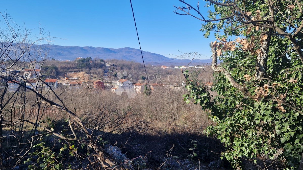 MARINIĆI