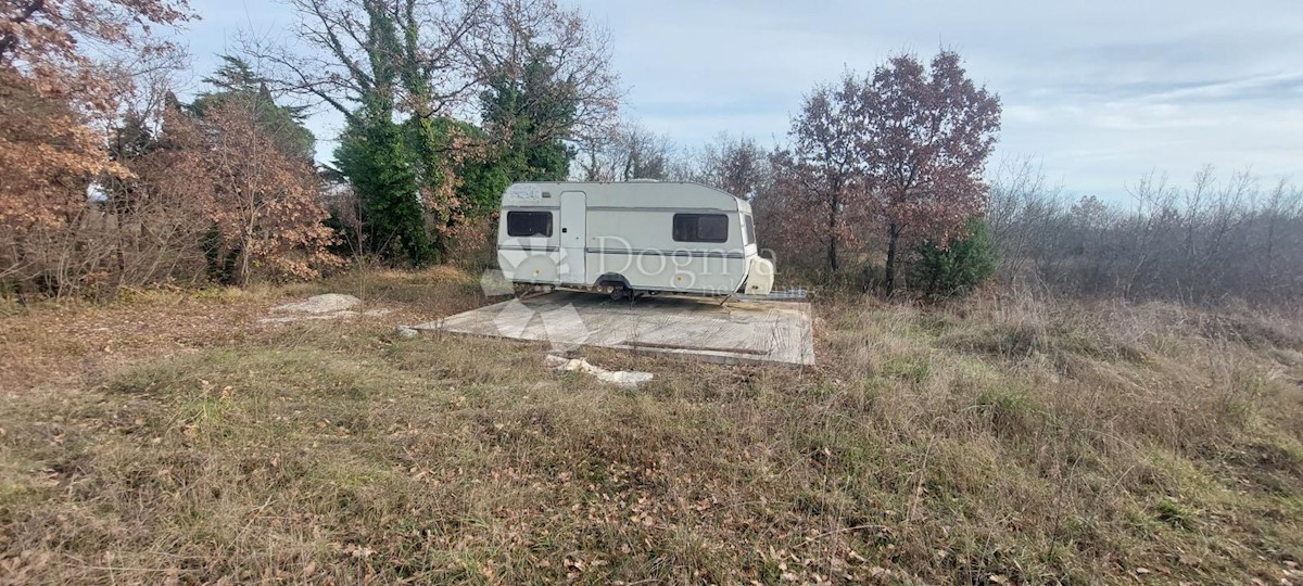 MARČANA