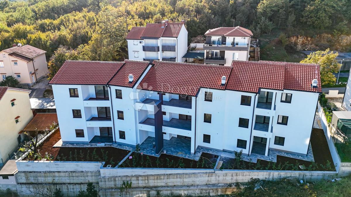 ČIŽIĆI