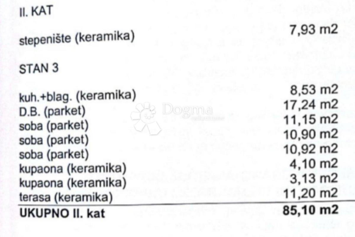 ČIŽIĆI