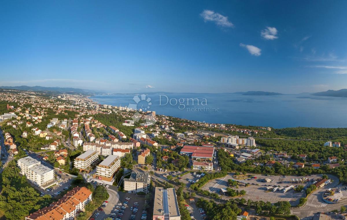 SRDOČI