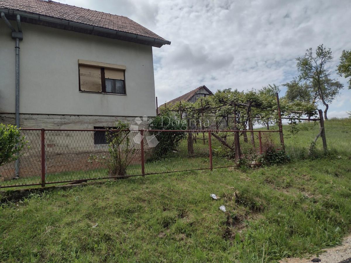CREVARSKA STRANA