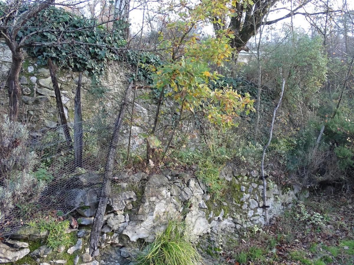 BUZET