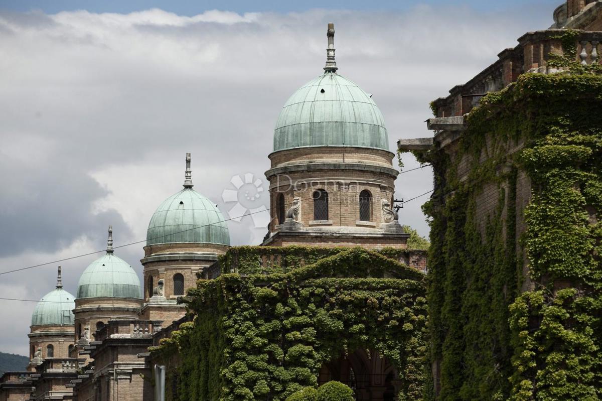 MIROGOJ
