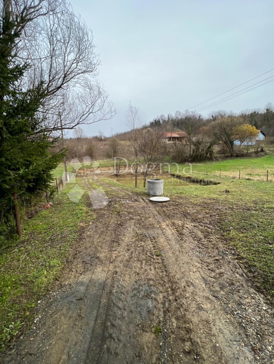 KOZJAK ZAČRETSKI