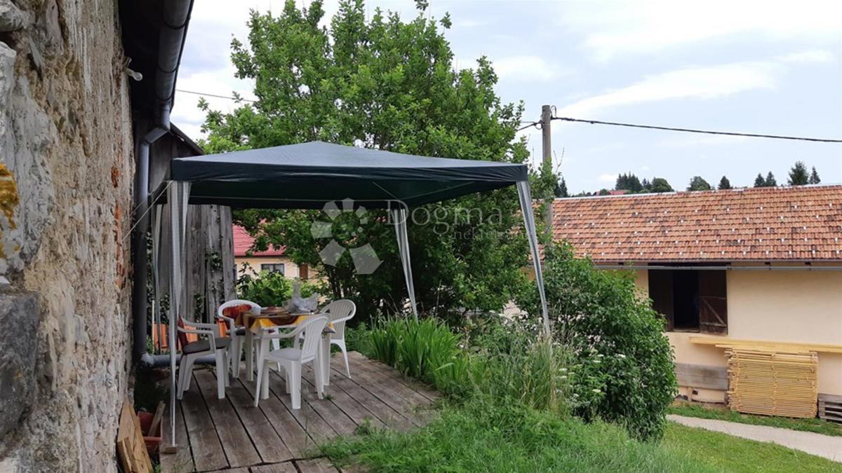 TRŠĆE