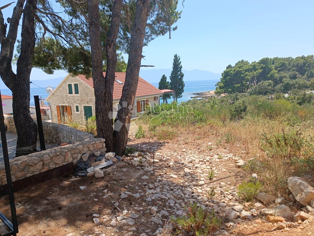 SUĆURAJ
