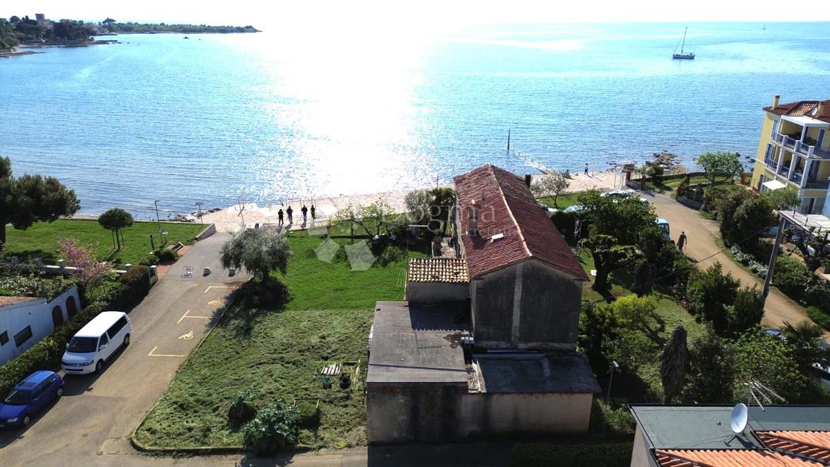 NOVIGRAD