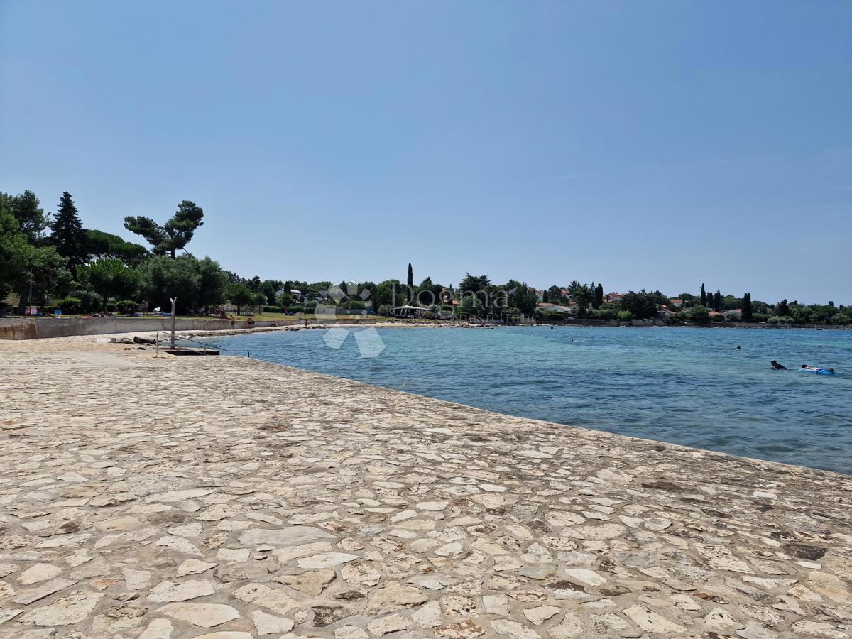 NOVIGRAD