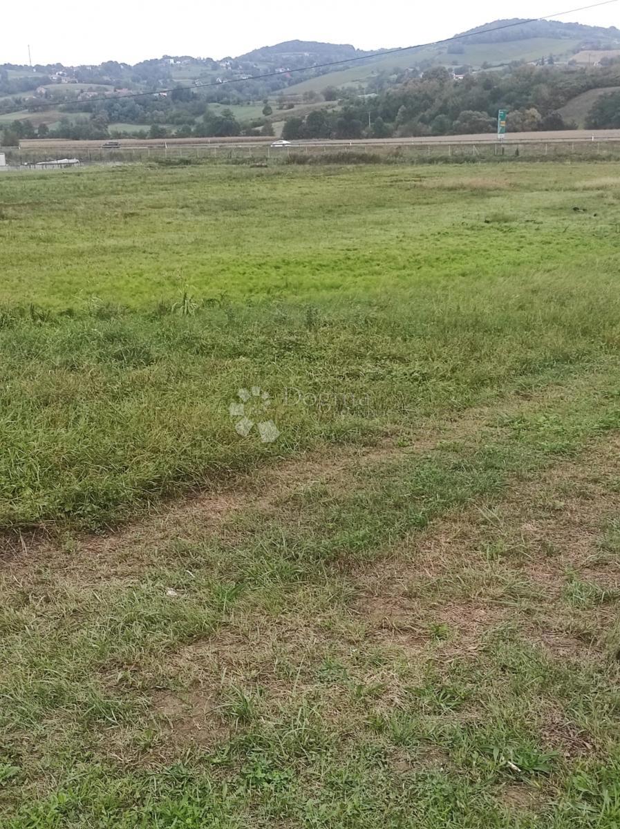 BREZNICA