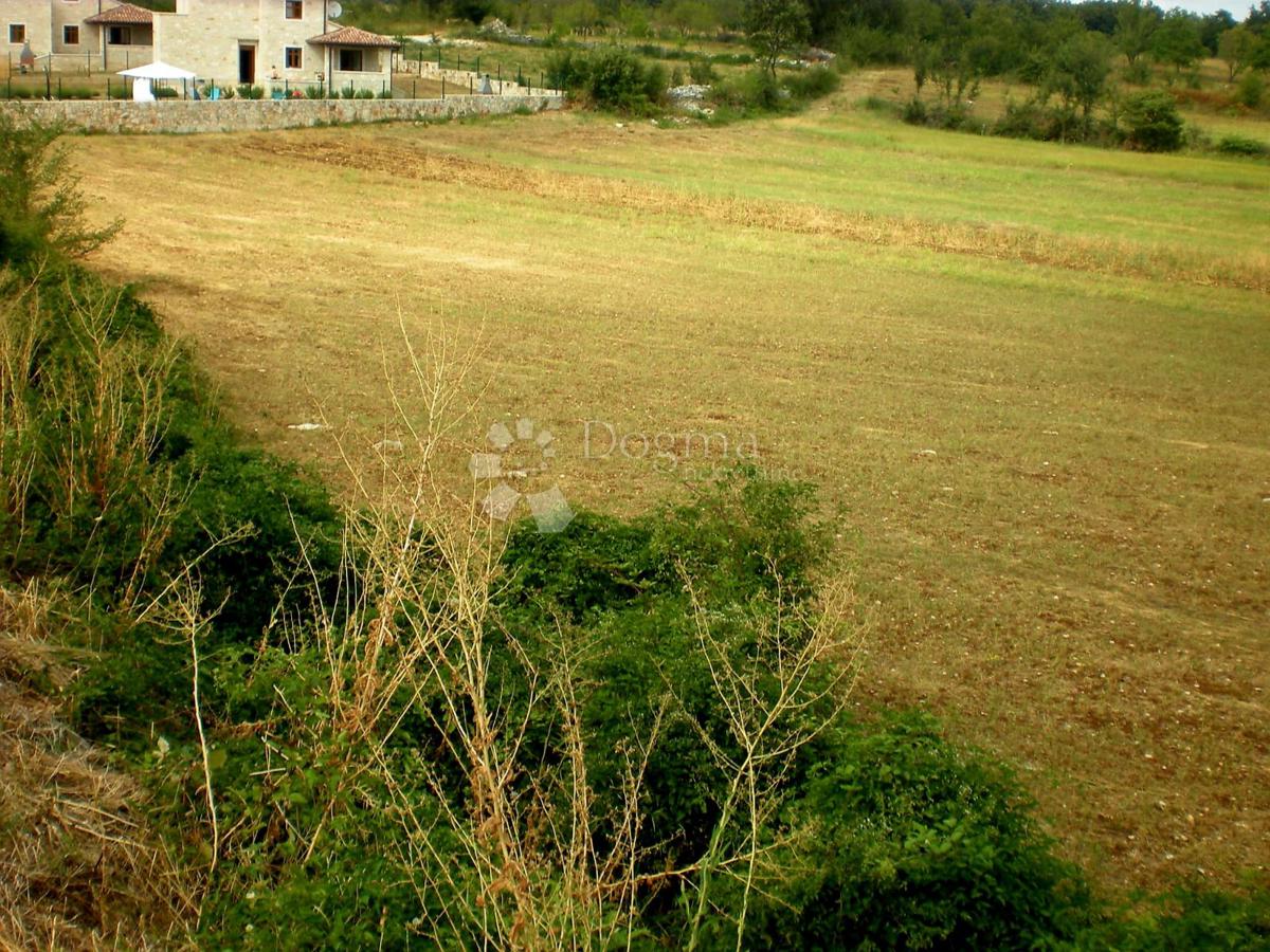 KANFANAR