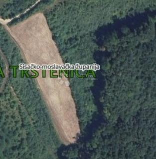 GORNJA TRSTENICA