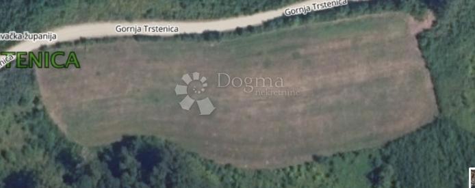 GORNJA TRSTENICA